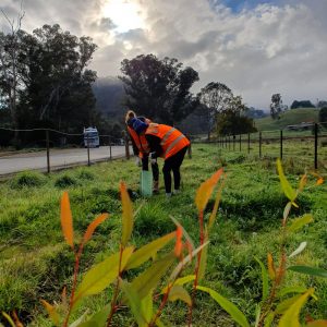 20200529_091722-scaled