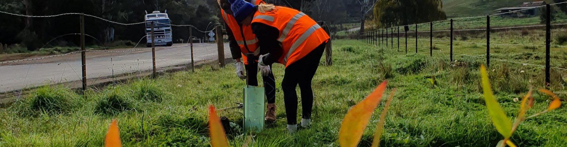 20200529_091722-scaled